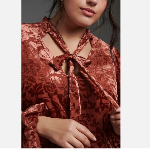 Anthropologie Rust Floral Velvet tie neck Blouse Size Small - Picture 4 of 12